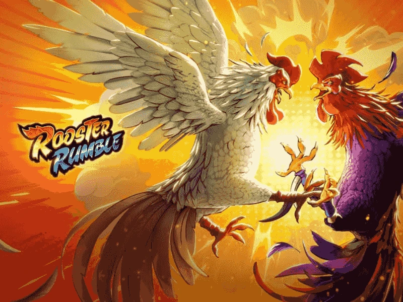 Ilustrasi sabung ayam VT789